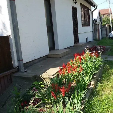 Romy * Pancevo